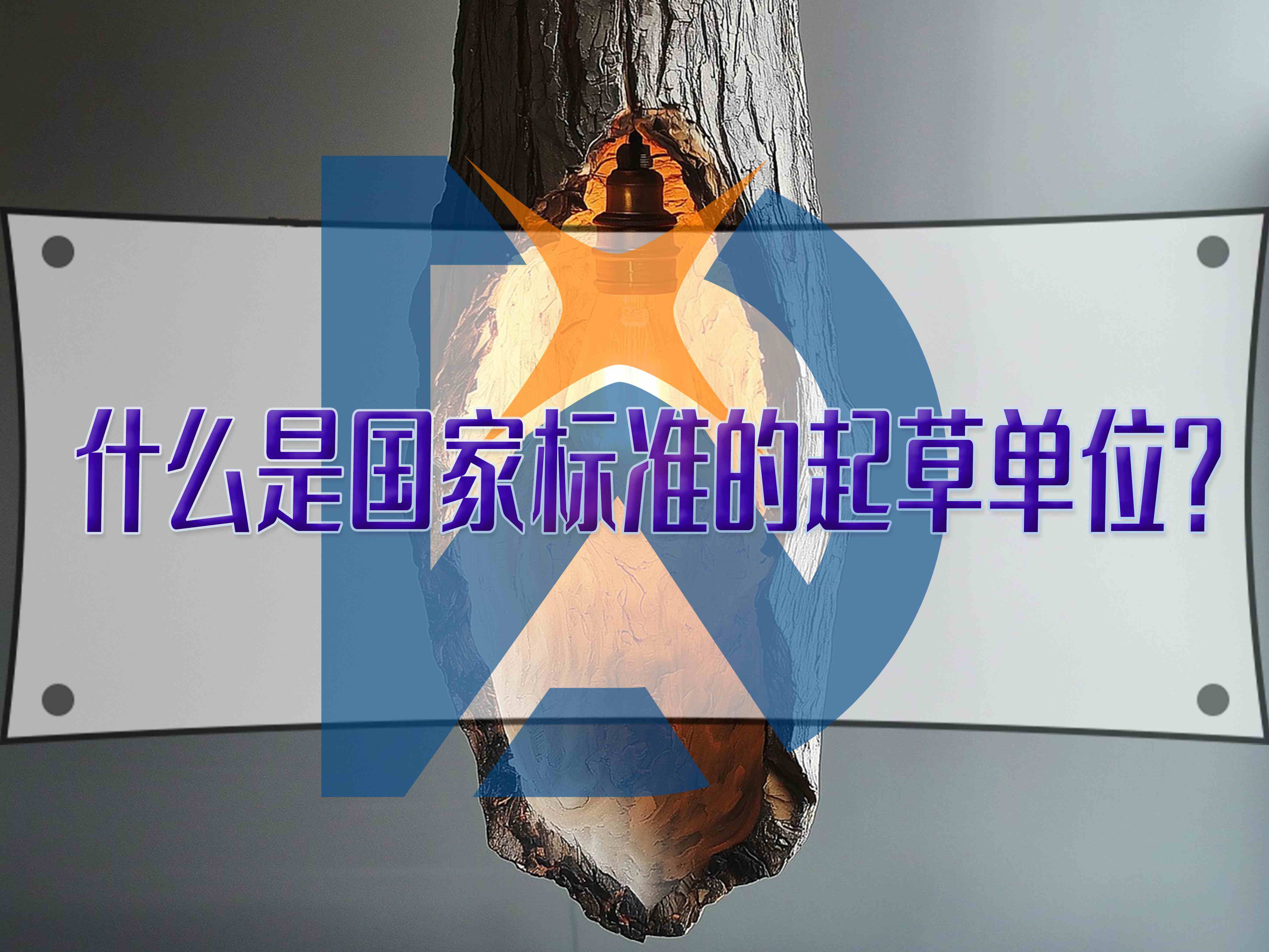 什么是国家标准的起草单位？