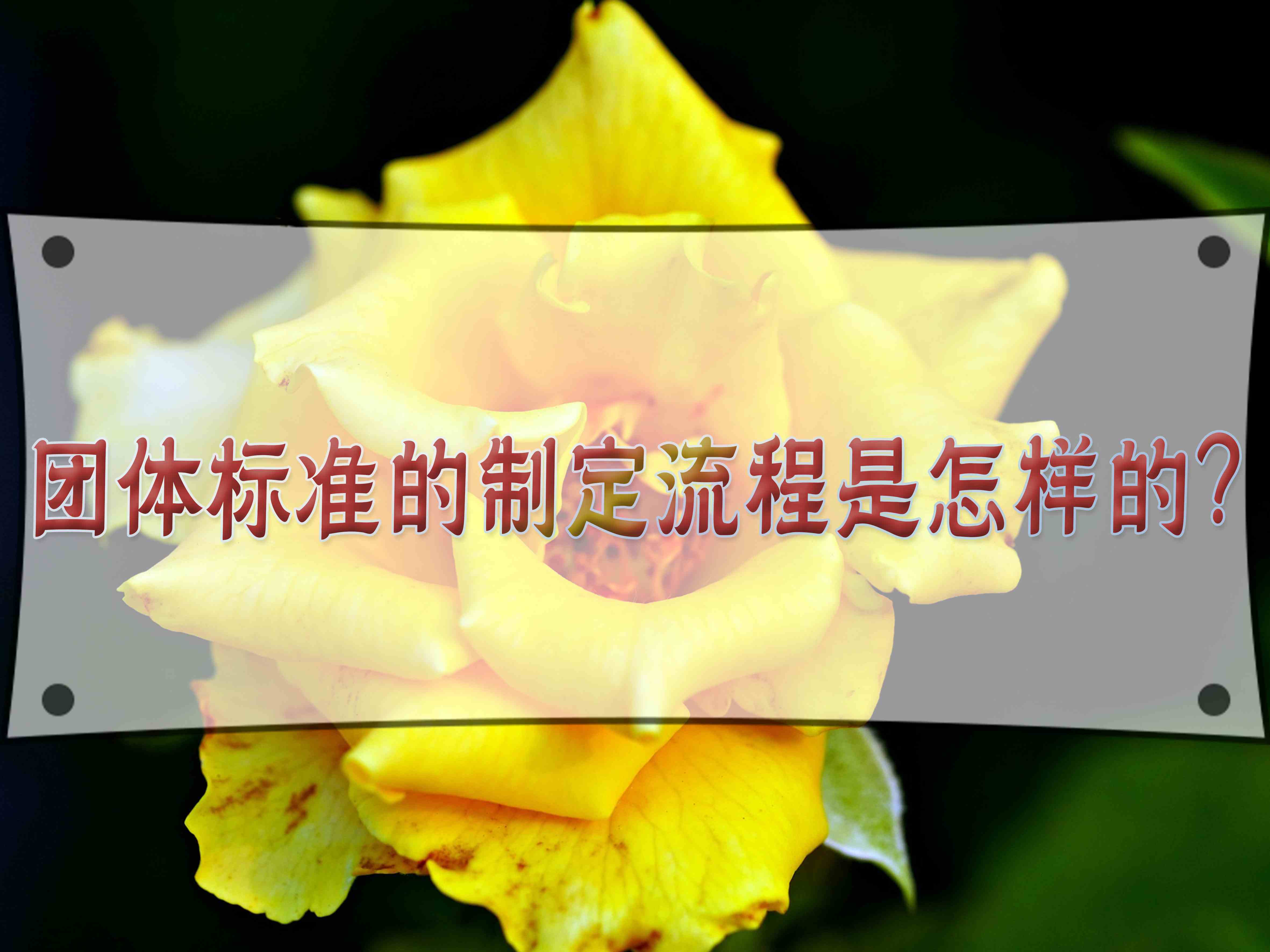 团体标准的制定流程是怎样的？