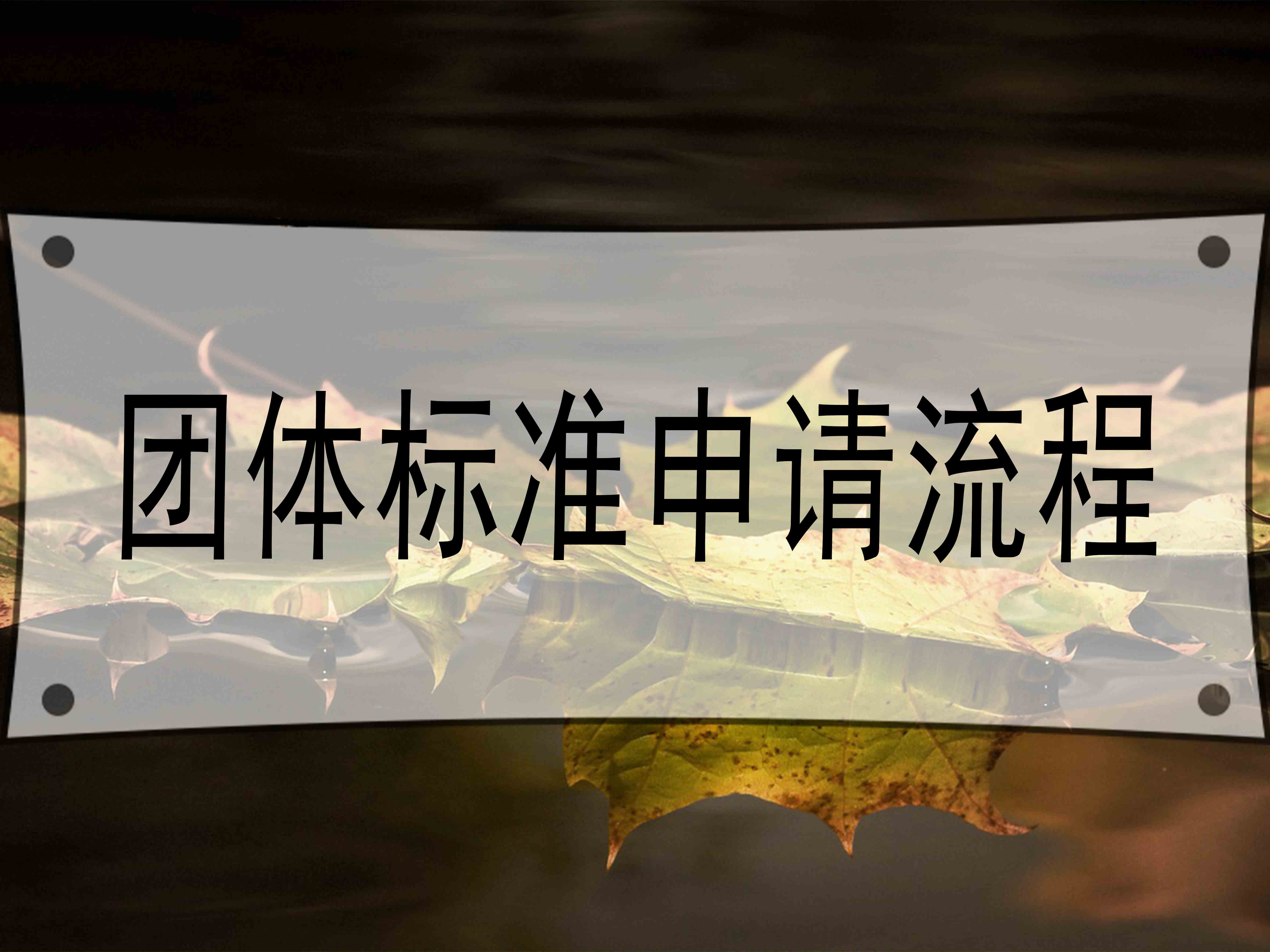 团体标准申请流程