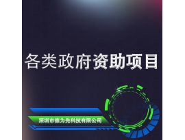 各类政府资助项目
